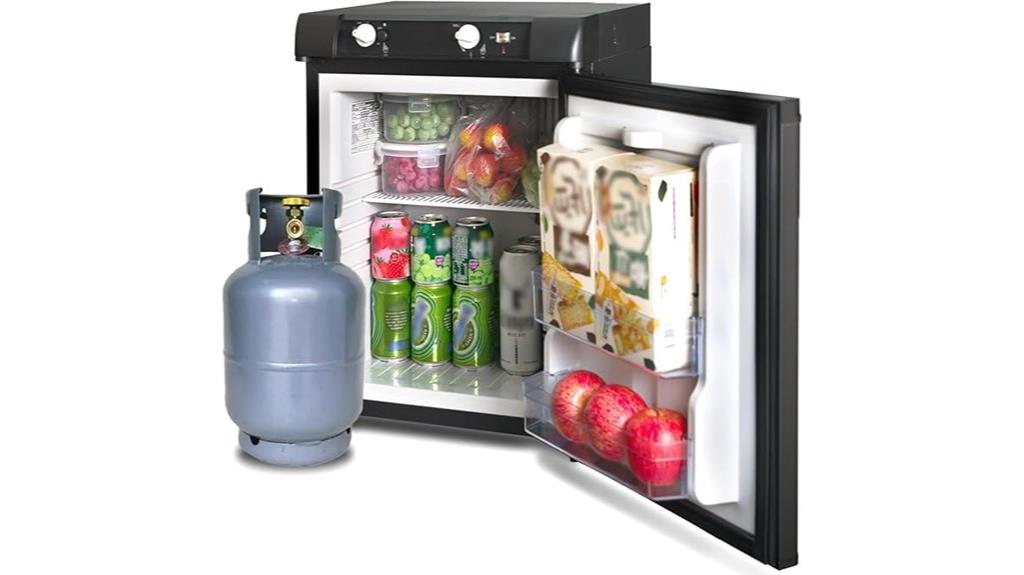 12v propane refrigerator capacity