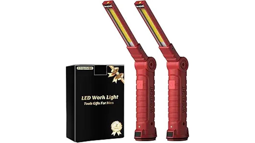 dual rechargeable led lights