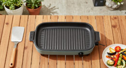 11 Best Electric Grills in 2026