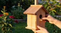 13 Best Bird Feeders and Birdhouses in 2026