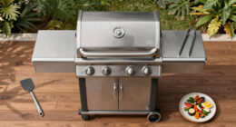 14 Best Gas Grills in 2026