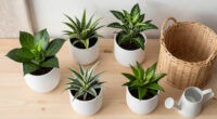 14 Best Indoor Plants in 2026