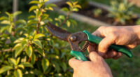 15 Best Gardening Tools in 2026