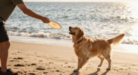The Best Dog Beaches in America, According to Dogs
