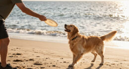 The Best Dog Beaches in America, According to Dogs