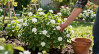 This Resilient Shrub Is Replacing Lavender in Cottage Gardens – It’s Practically Effortless, Pollinators Love It, and It Doesn’t Go Woody