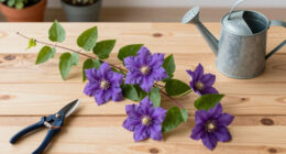 What to Do With Clematis in June for a Show-Stopping Climb of Blooms That Lasts for Months