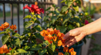 10 Best Heat Tolerant Flowering Shrubs in 2026