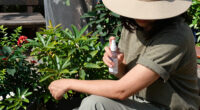 10 Best Mosquito Repellents in 2026