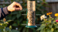 11 Best Bird Feeders And Baths In 2026
