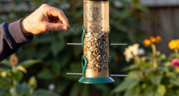 11 Best Bird Feeders And Baths In 2026