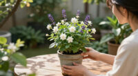 11 Best Fragrant Plants in 2026