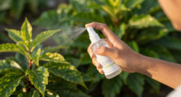 13 Best Mosquito Control Products in 2026