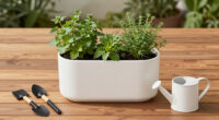 13 Best Self-Watering Planters in 2026