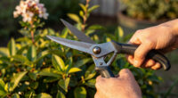 14 Best Garden Pruning Shears in 2026