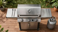 14 Best Gas Grills in 2026