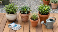 14 Best Outdoor Planters in 2026