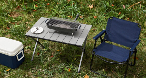 14 Best Outdoor Tailgating Furniture in 2026