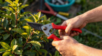 15 Best Garden Tools in 2026