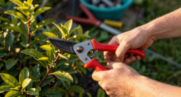 15 Best Garden Tools in 2026