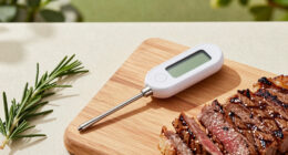 15 Best Meat Thermometers in 2026