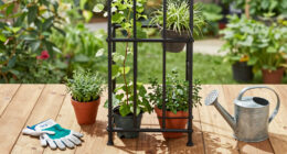 15 Best Weather-Resistant Garden Trellises in 2026