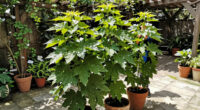 5 Best Patio Shade Plants in 2026