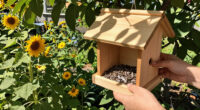 7 Best Bird Feeders in 2026