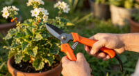Fiskars Solid Snip Pruning Micro-Tip SP13 Review: Precision Pruners For Deadheading And Cuttings