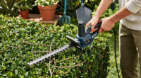 Husqvarna Hedge Master 360I Review: Is This Cordless Trimmer Worth It?
