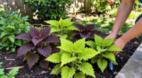 Is Too Much Color Killing Your Curb Appeal? Try This 2-Color Plant Trick For Easy Style Points