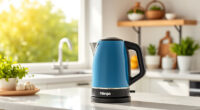 Ninja KT200BL Precision Temp Electric Kettle: Perfect for Summer Tea Time
