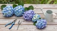 This Overlooked Hydrangea Cousin Is The Native Flowering Vine More Gardeners Should Be Growing