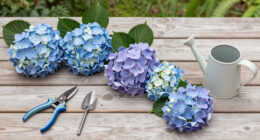 This Overlooked Hydrangea Cousin Is The Native Flowering Vine More Gardeners Should Be Growing