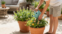 10 Best Patio Planters in 2026