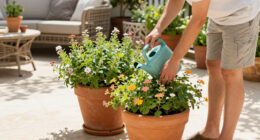 10 Best Patio Planters in 2026