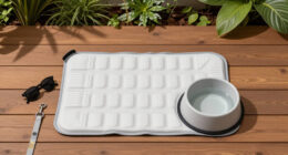 11 Best Cooling Products for Dogs in 2026