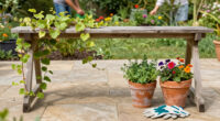 12 Best Garden Trellises in 2026