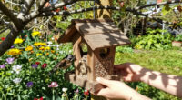15 Best Bird Feeders in 2026