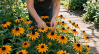 15 Best Black-Eyed Susan Varieties in 2026