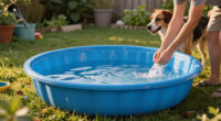 15 Best Dog Pools in 2026