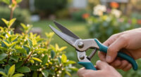 15 Best Garden Pruning Tools in 2026