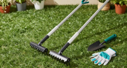 15 Best Lawn Scarifiers And Dethatchers In 2026