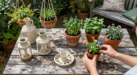 5 Best Budget Garden Decor in 2026