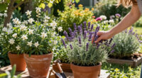 5 Best Fragrant Garden Plants in 2026