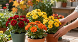 5 Fast-Growing Fall Flowers For Containers That Dazzle From The End Of Summer Until The First Frost