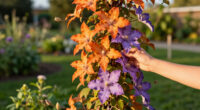 6 Best Fall-Flowering Clematis in 2026