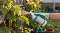8 Best Poison Ivy Removal Products in 2026