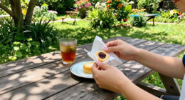 9 Best Packaged Snack Cakes in 2026