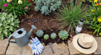 9 Creative Landscape-Designer Tricks For Drought-Tolerant Gardens That Cut Watering Time, Not Style